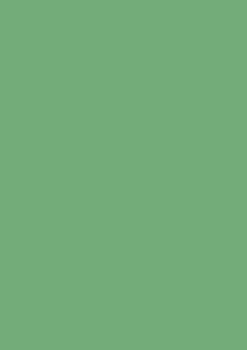 Krijtverf Farrow & Ball Estate Eggshell Emerald Green (W53) 1