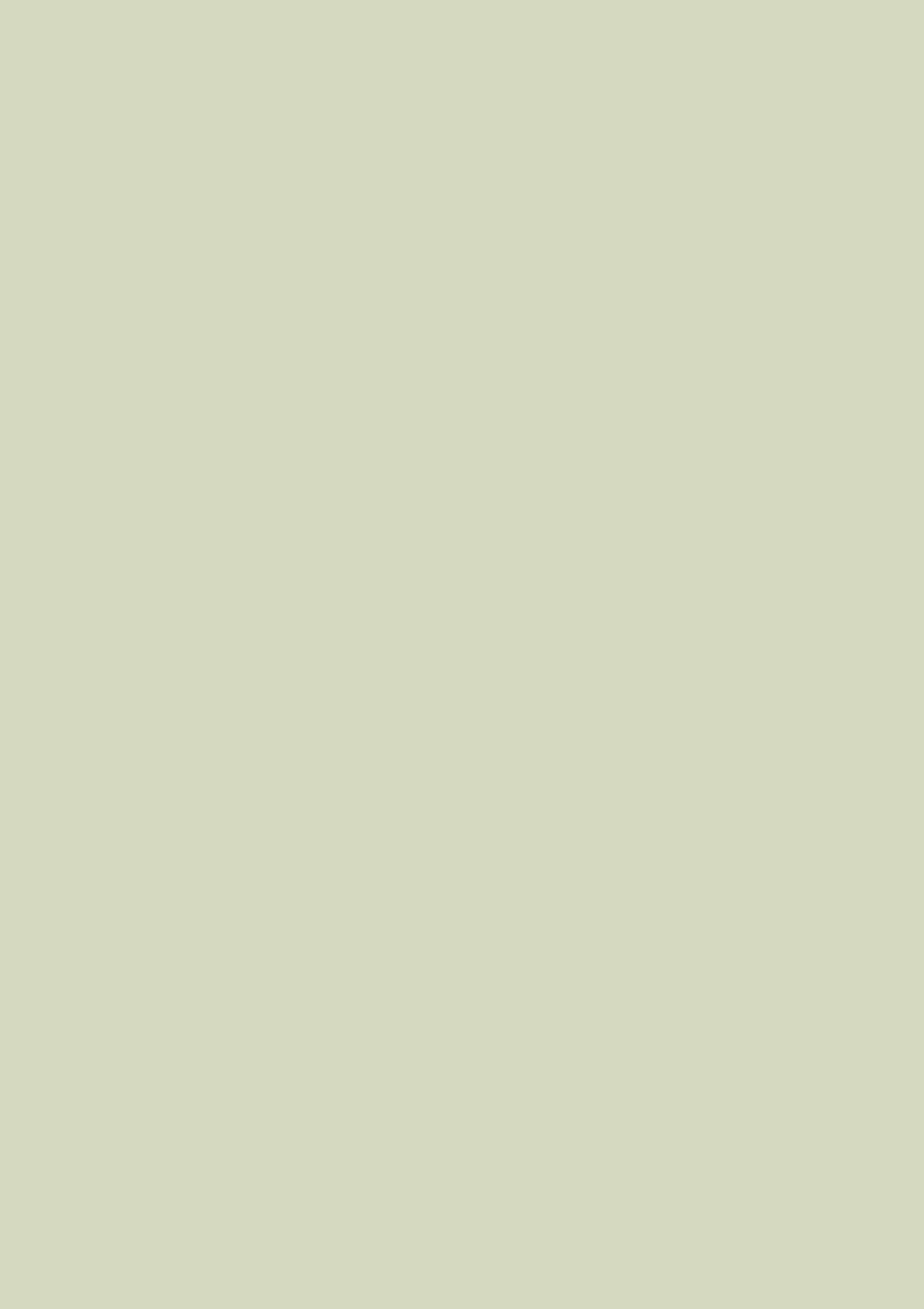 Verf Farrow & Ball Exterior Eggshell Shadow White (282) 1
